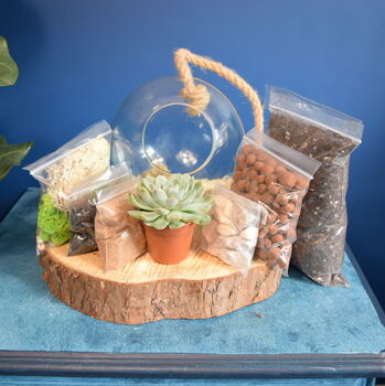 Glass Globe Terrarium Kit With Succulent Or Cactus Gift, 2 of 10