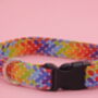 Rainbow Geometric Dog Collar, thumbnail 2 of 10