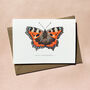 Illustrated Small Tortoiseshell Butterfly Card, thumbnail 1 of 7