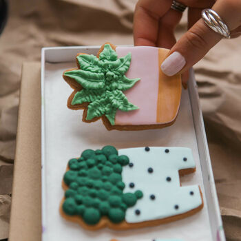 House Plant Biscuit Gift Set, 4 of 4