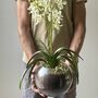 Artificial White Orchid In Glass Vase, thumbnail 1 of 5