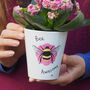 Bee Awesome Planter With Soil And Wildflower Seeds, thumbnail 1 of 2