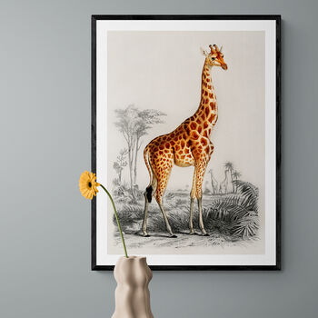 Vintage Giraffe Illustration Wall Art Print, 2 of 6
