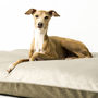 Charley Chau Velour Contrast Dog Bed Mattress, thumbnail 5 of 8