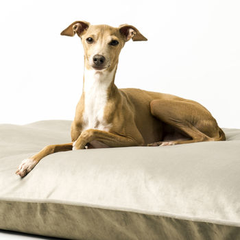 Charley Chau Velour Contrast Dog Bed Mattress, 5 of 8