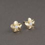 Sterling Silver Forget Me Not Flower Earrings Studs, thumbnail 4 of 7