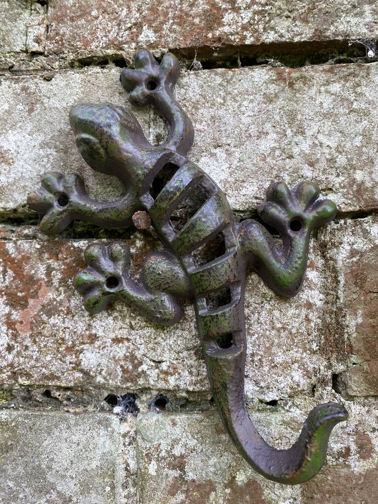 Cast Iron Lizard, 1 of 8