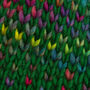 Ellie Easy Rainbow Forest Green Hat Knitting Kit, thumbnail 3 of 5