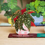 Spotted Begonia Unkillable Houseplant Pop Out Card, thumbnail 1 of 4