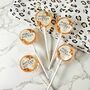 Burnt Orange Wedding Favour Lollipops, thumbnail 1 of 4