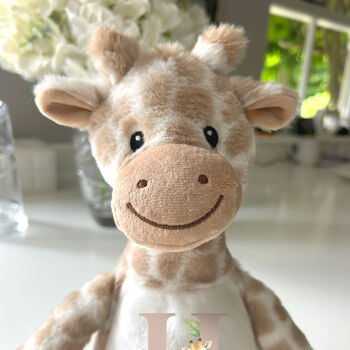 Personalised Alphabet Giraffe Teddy Bear – New Baby, 1st Birthday Gift, 4 of 7