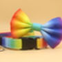 Rainbow Ombré Dog Collar And Lead Accessory Set, thumbnail 7 of 12