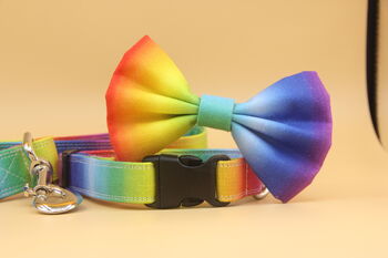 Rainbow Ombré Dog Collar And Lead Accessory Set, 7 of 12