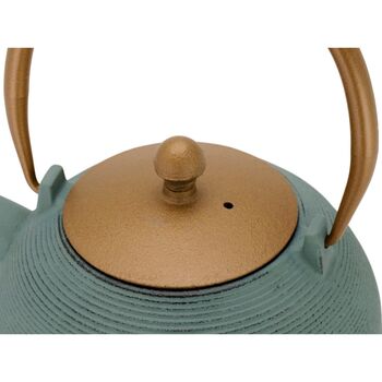 Cast Iron Teapot Sakura 1200ml Stainless Steel Filter, 7 of 9