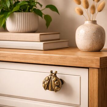 Vintage Brass Ladybug Cabinet Knob, 6 of 9