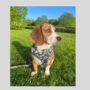 Camouflage Dog Poo Bag Holder, thumbnail 6 of 7
