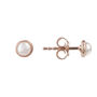 Petite Stud Earring Rosegold Plated Silver, thumbnail 6 of 8