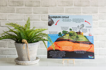 Water Cycle And Carbon Cycle Portable Boards, 6 of 10