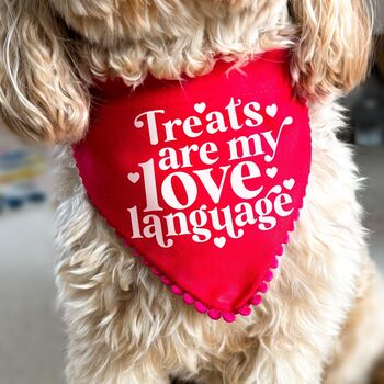 Love Language Valentines Dog Bandana, 2 of 8