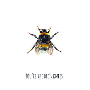 Bumble Bee Greetings Card, 2 of 3