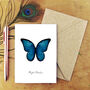 Blue Morpho Butterfly A6 Greetings Cards, thumbnail 1 of 7