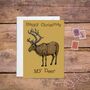 Christmas Card Pack Mixed Robin And Reindeer Designs, thumbnail 8 of 8