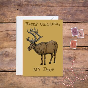 Christmas Card Pack Mixed Robin And Reindeer Designs, 8 of 8