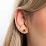 Gold Plated Sterling Silver November Citrine Birthstone Stud Earrings, thumbnail 1 of 6
