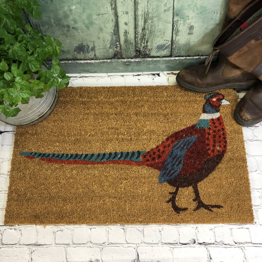 Pair Of Proud Pheasant Coir Doormats By Garden Selections