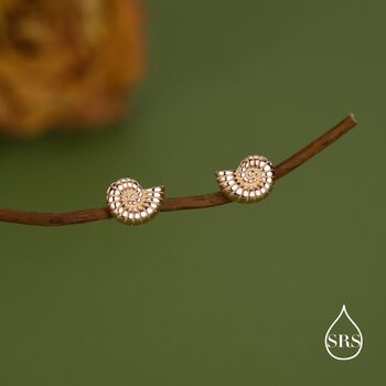 Sterling Silver Ammonite Shell Stud Earrings, 6 of 12