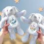 New Baby Sibling Soft Toy, thumbnail 8 of 8