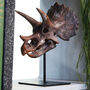 Triceratops Dinosaur Skull Hand Painted 3D Model Gifts For Him, thumbnail 1 of 4