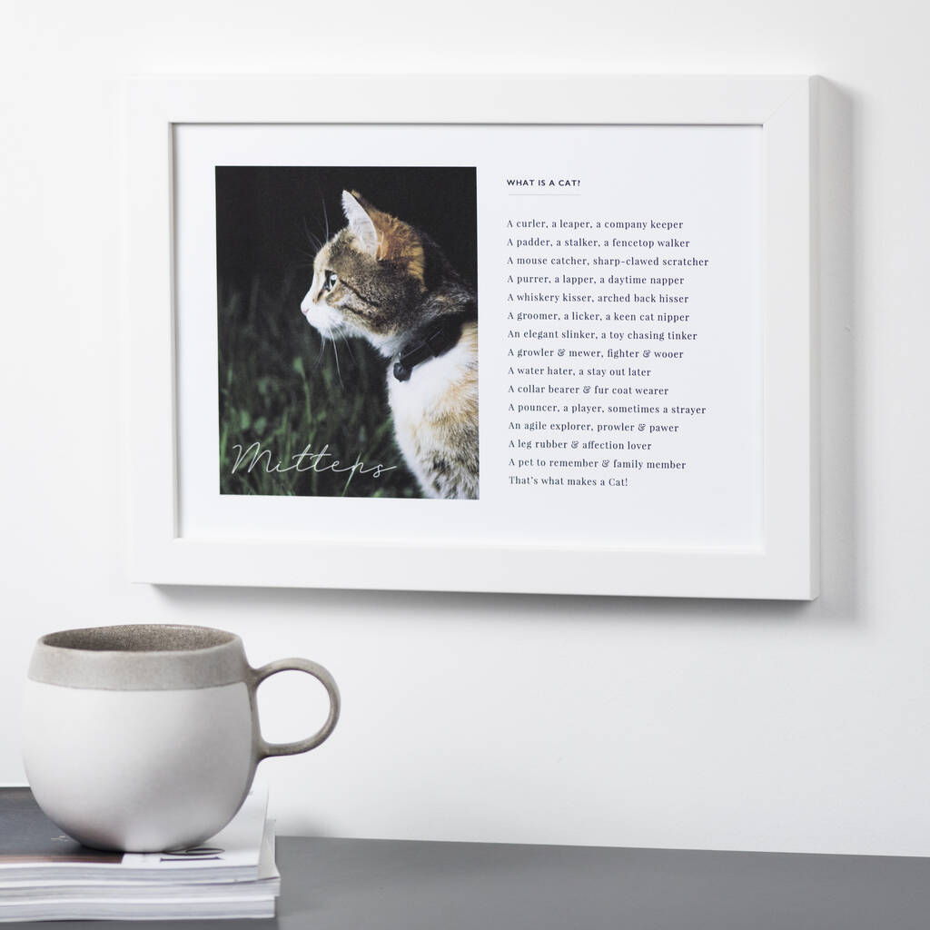 Copycat poem kindergarten picture