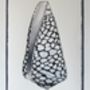 Framed Limited Edition Marble Cone Shell Giclee Print, thumbnail 5 of 6