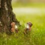 Solar Boy And Girl Garden Firefly Jar Outdoor Ornament, thumbnail 10 of 12