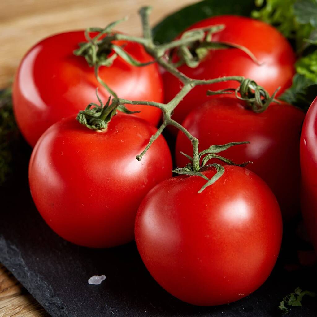 Tomato Plants Gardener S Delight Six