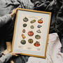 Pumpkin And Squash Artwork Print, thumbnail 7 of 8