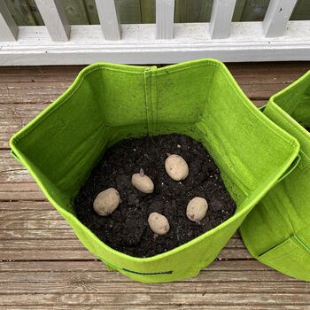 Pair Of Reusable Potato And Vegetable Patio Grow Bags, 4 of 12