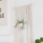 The Macramé Plant Hanger Craft Kit, thumbnail 9 of 9