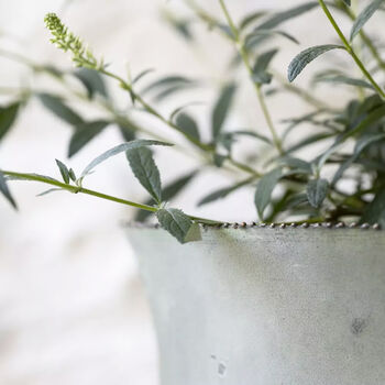 Vintage Style Turquoise Iron Planters, 3 of 8