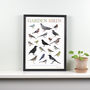 British Garden Birds Illustrated Print, thumbnail 1 of 6