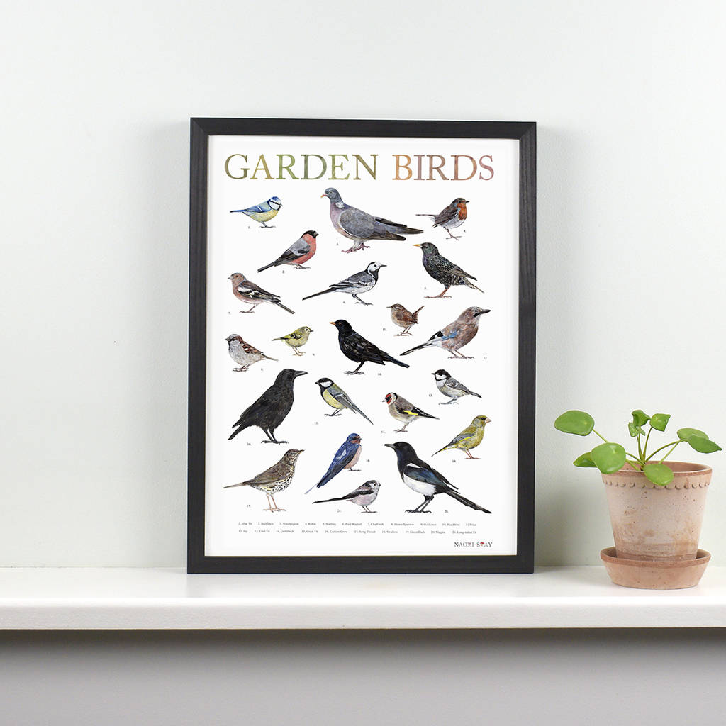 British Garden Birds Illustrated Print, 1 of 6