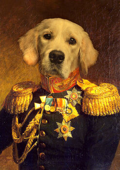 Renaissance Pet Portrait, 8 of 12