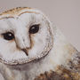 Pair Of Barn Owl Prints, thumbnail 2 of 6