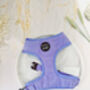 Pastel Purple Cord Dog Harness, thumbnail 1 of 6