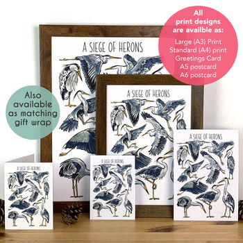 Herons Watercolour Illustrated Postcard, 3 of 8