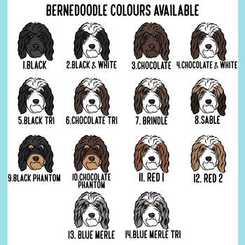 Bernedoodle Children T Shirt, 6 of 8