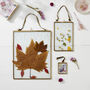 Personalised Flower Press And Frame Craft Kit, thumbnail 2 of 7