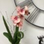 Peach Artificial Silk Orchid Flower Arrangement, thumbnail 1 of 6
