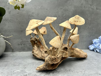 20cm Hand Carved Wooden Mushroom Figurine Coffee Root Wood, 6 of 12